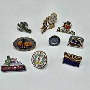 Lot of 9 Arizona Lapel Pins Cactus State Flag Gold Silver Tone Souvenir Metal